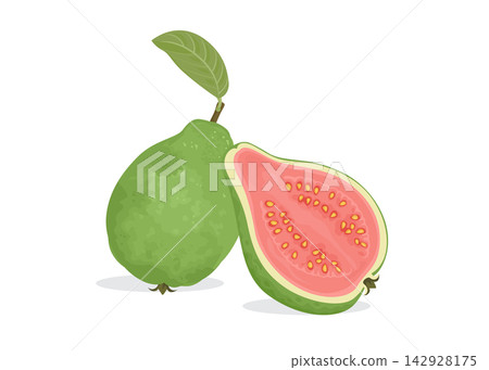 Green guava whole fruit and half stock illustration 142928175