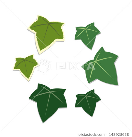 Natural illustration material of ivy leaves fluttering in a circular pattern Natural illustration material of ivy leaves fluttering in a circular pattern 142928628