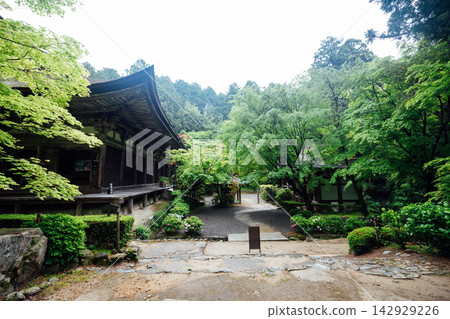 [Higashiomi City, Shiga Prefecture] Kongorinji Temple Main Hall, Daihikaku 142929226
