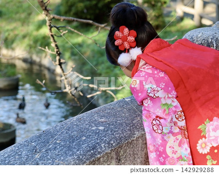 七五三節(7-5-3)慶祝活動:一位身穿和服的3歲女孩,背對著鏡頭,正凝視著通往神社的小溪 | 廣告、文章、引人注目的圖片、育兒 七五三節(7-5-3)慶祝活動:一位身穿和服的3歲女孩,背對著鏡頭,正凝視著通往神社的小溪 | 廣告、文章、引人注目的圖片、育兒 142929288