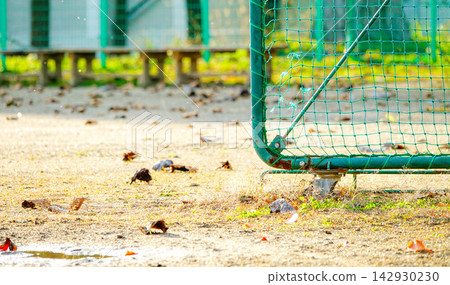 秋風吹過空曠的校園,那裡矗立著棒球場的圍欄。 秋風吹過空曠的校園,那裡矗立著棒球場的圍欄。 142930230