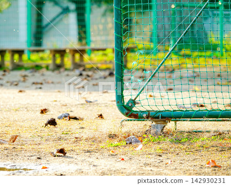 An autumn wind blows through the deserted school grounds, where a baseball field fence stands. An autumn wind blows through the deserted school grounds, where a baseball field fence stands. 142930231