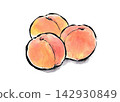 A watercolor painting of a peach in the style of a picture postcard. 142930849