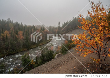 Natural Water Cycle and Foggy Mountain Stream in Remote Wilderness Natural Water Cycle and Foggy Mountain Stream in Remote Wilderness 142931584