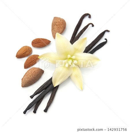 Vanilla pods with almonds nuts on white bacxkgrounds Vanilla pods with almonds nuts on white bacxkgrounds 142931756