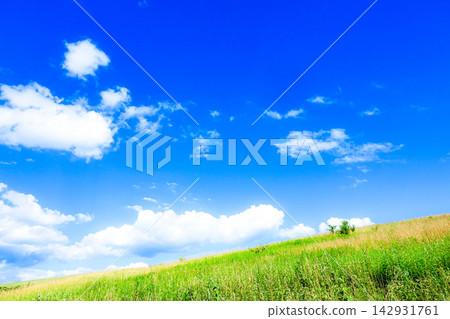 A landscape of a grassy field with a clear autumn sky and refreshing air that makes you want to lie down. 142931761