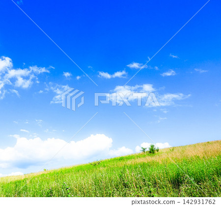 A landscape of a grassy field with a clear autumn sky and refreshing air that makes you want to lie down. A landscape of a grassy field with a clear autumn sky and refreshing air that makes you want to lie down. 142931762