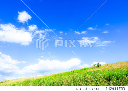 A landscape of a grassy field with a clear autumn sky and refreshing air that makes you want to lie down. A landscape of a grassy field with a clear autumn sky and refreshing air that makes you want to lie down. 142931763