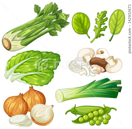 Vector Illustration of Fresh Garden Vegetables and Healthy Cooking Ingredients Vector Illustration of Fresh Garden Vegetables and Healthy Cooking Ingredients 142932671