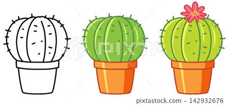 Potted Cactus Cartoon Vector Illustration Set With Flower and Line Art Potted Cactus Cartoon Vector Illustration Set With Flower and Line Art 142932676