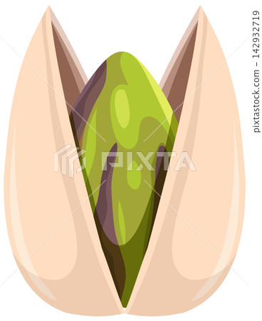 Single Open Pistachio Nut Vector Illustration on White Background Single Open Pistachio Nut Vector Illustration on White Background 142932719