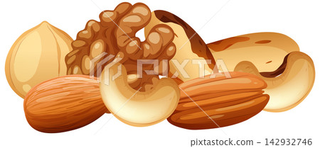 Assorted Mixed Nuts Illustration with Almond Cashew Walnut and Hazelnut Assorted Mixed Nuts Illustration with Almond Cashew Walnut and Hazelnut 142932746