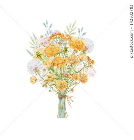 Hand drawn watercolor bouquet of dandelions, buttercups, tansy, chamomile and yarrow tied with twine. Pastel meadow wildflower composition isolated for stationery, wedding, packaging and floral design 142932783