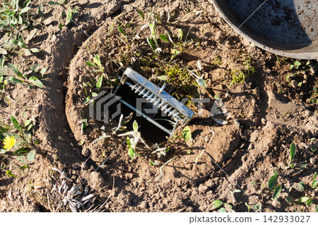 Metal mole claw trap installed inside a hole in the ground with an open frying pan nearby Metal mole claw trap installed inside a hole in the ground with an open frying pan nearby 142933027