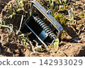 Close up view of a spring loaded steel mole trap mechanism set inside a tunnel hole 142933029