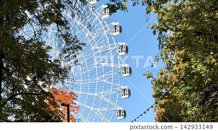 new Ferris wheel behind autumn tree branches new Ferris wheel behind autumn tree branches 142933149