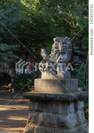 [Japan] Stone statues of guardian lions (komainu) in front of the main hall of Michinobe Hachimangu Shrine in Chiba Prefecture. 142933316