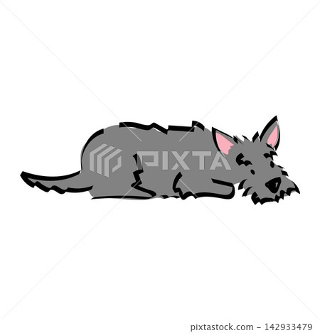 Cute illustration a sleeping Scottish Terrier. Doodle resting dog drawing. Pet portrait. Cute illustration a sleeping Scottish Terrier. Doodle resting dog drawing. Pet portrait. 142933479