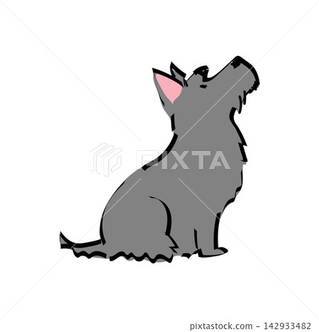 Cute illustration of a Scottish Terrier sitting and looking up. Simple doodle pet portrait. Cute illustration of a Scottish Terrier sitting and looking up. Simple doodle pet portrait. 142933482