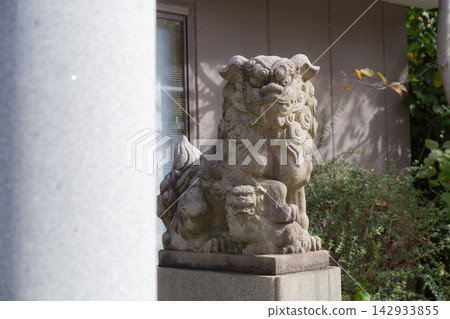 [Japan] Stone guardian lion statues located on the torii gate side of Sumiyoshi Shrine in Tokyo. 142933855