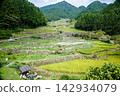 Scenery with rice terraces 142934079