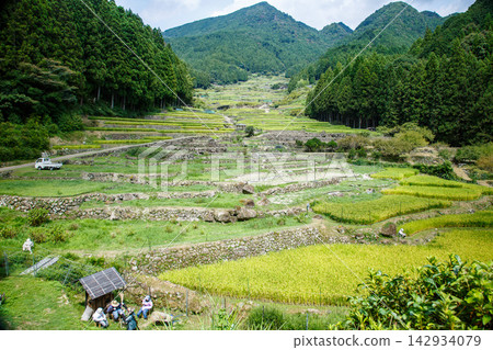 Scenery with rice terraces Scenery with rice terraces 142934079
