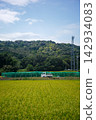 New rice and a light truck 142934083