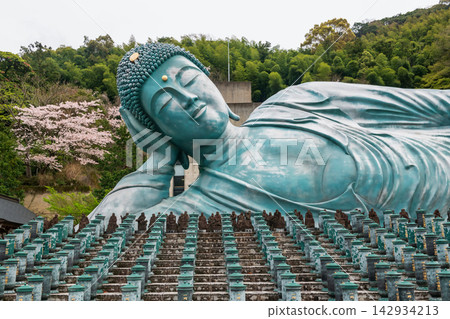 Big reclining Buddha statue by sakura blossom at Nanzoin, Fukuoka Big reclining Buddha statue by sakura blossom at Nanzoin, Fukuoka 142934213