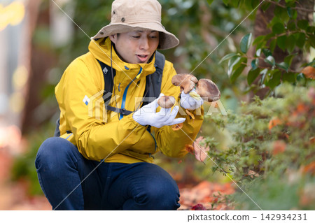 Mushroom hunting and hiking Mushroom hunting and hiking 142934231