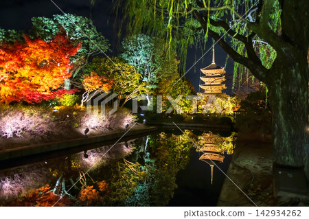 autumn leaf tunnel by pond and Toji 5 storied pagoda light up, Kyoto autumn leaf tunnel by pond and Toji 5 storied pagoda light up, Kyoto 142934262