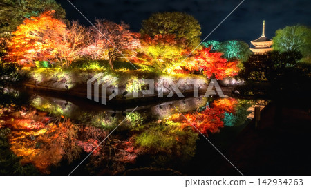 colorful fall garden light up with reflection by Toji pagoda, Kyoto 142934263