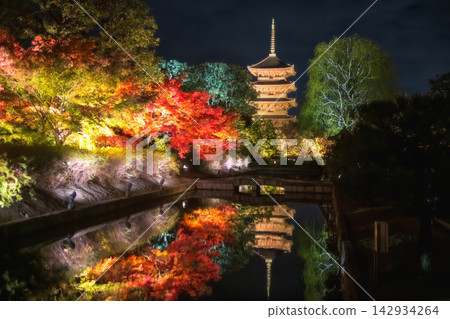Toji 5 storied pagoda light up with fall garden and reflection, Kyoto Toji 5 storied pagoda light up with fall garden and reflection, Kyoto 142934264