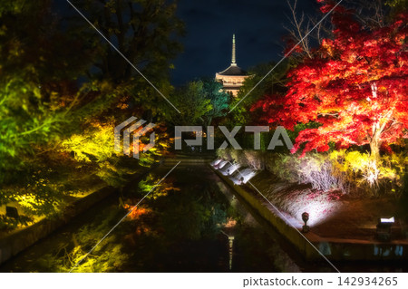 Toji five storied pagoda by colorful maple tree tunnel light up, Kyoto Toji five storied pagoda by colorful maple tree tunnel light up, Kyoto 142934265