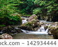 Clear current flowing through the forest 142934444