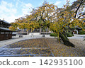 Autumn at Koshakuin Temple 142935100