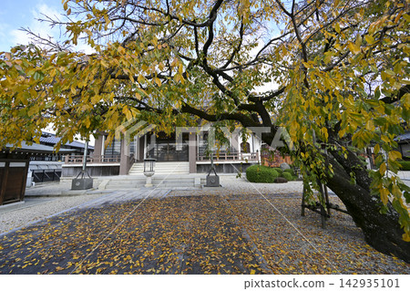 Autumn at Koshakuin Temple 142935101