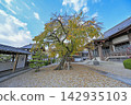 Autumn at Koshakuin Temple 142935103