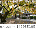 Autumn at Koshakuin Temple 142935105