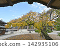 Autumn at Koshakuin Temple 142935106