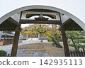 Autumn at Koshakuin Temple 142935113
