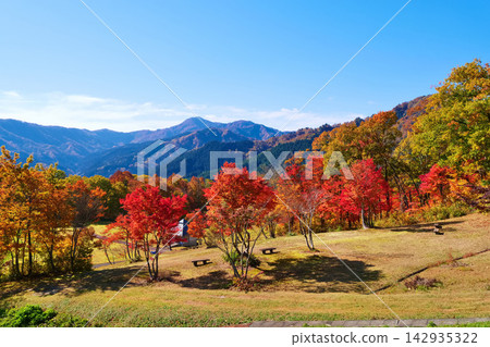 山形縣旭町的秋葉景色(山形縣西村山郡旭町) 山形縣旭町的秋葉景色(山形縣西村山郡旭町) 142935322