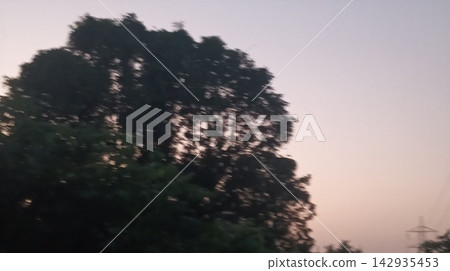 Beautiful dusk sky with tree silhouettes and fading sunlight Beautiful dusk sky with tree silhouettes and fading sunlight 142935453