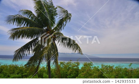 法屬玻里尼西亞:莫雷阿島-壯麗的海景和山景 法屬玻里尼西亞:莫雷阿島-壯麗的海景和山景 142935533