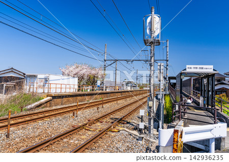 Spring scenery at Kugahara Station on the JR Seto-Ohashi Line, Part 3, Hayashima Town, Tsukubo District, Okayama Prefecture Spring scenery at Kugahara Station on the JR Seto-Ohashi Line, Part 3, Hayashima Town, Tsukubo District, Okayama Prefecture 142936235