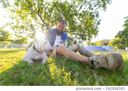 Old bull terrier sits beside male owner in a park, both enjoying the sunny day with green grass and trees surrounding them in a relaxed outdoor setting Old bull terrier sits beside male owner in a park, both enjoying the sunny day with green grass and trees surrounding them in a relaxed outdoor setting 142936381