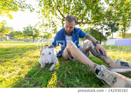 Old bull terrier sits beside male owner in a grassy park, with sunlight filtering through trees, showcasing a relaxed outdoor atmosphere and companionship 142936382