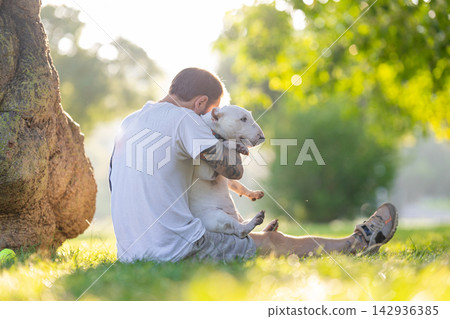 Old bull terrier being held by male owner sitting on grass under a tree in a sunny park, showcasing a bond between pet and owner in a natural setting Old bull terrier being held by male owner sitting on grass under a tree in a sunny park, showcasing a bond between pet and owner in a natural setting 142936385