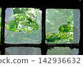 Broken glass window in an old abandoned building with green trees in the background 142936632