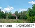 Abandoned old long ruined building overgrown with young green birch trees 142936637