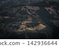 Unexplored village 142936644